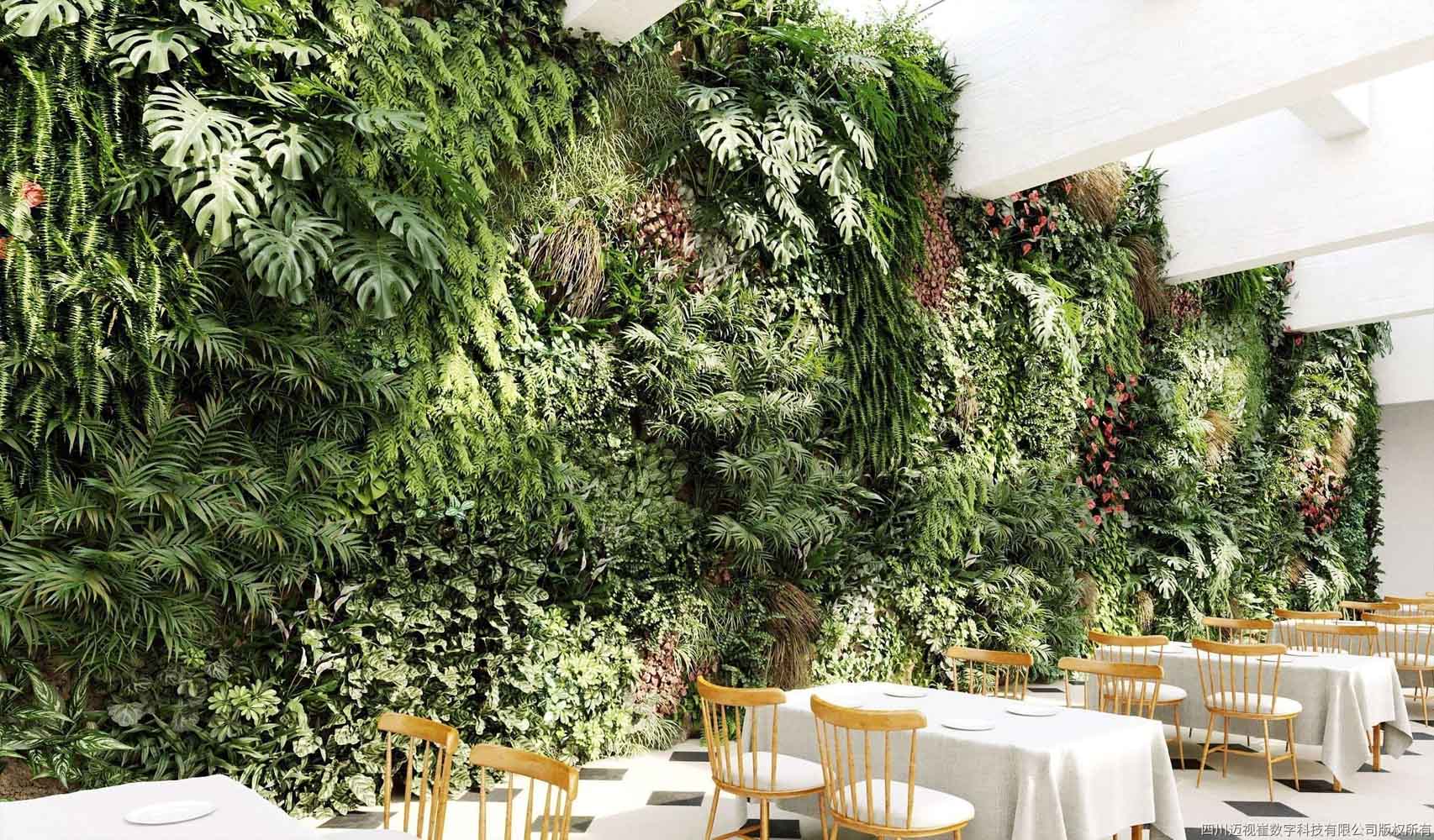 CÂY NHIỆT ĐỚI VOL 4